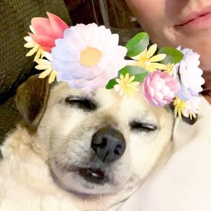 Meet your Posher, Sandra